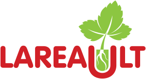 Production Lareault inc.